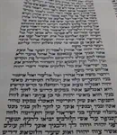 ספר תורה ספרדי  גודל 56 3