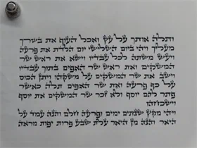 ספר תורה כתב בית יוסף  גודל 42 ס"מ