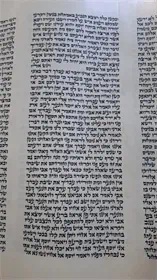 ספר תורה ספרדי גודל 56