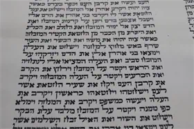 ספר תורה ספרדי  גודל 56