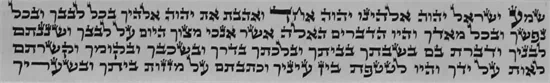 פרשיות ר"ת אברך מבוגר עם תעודה הנחה לכמות