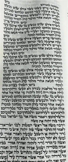 ספר תורה ספרדי גודל 56